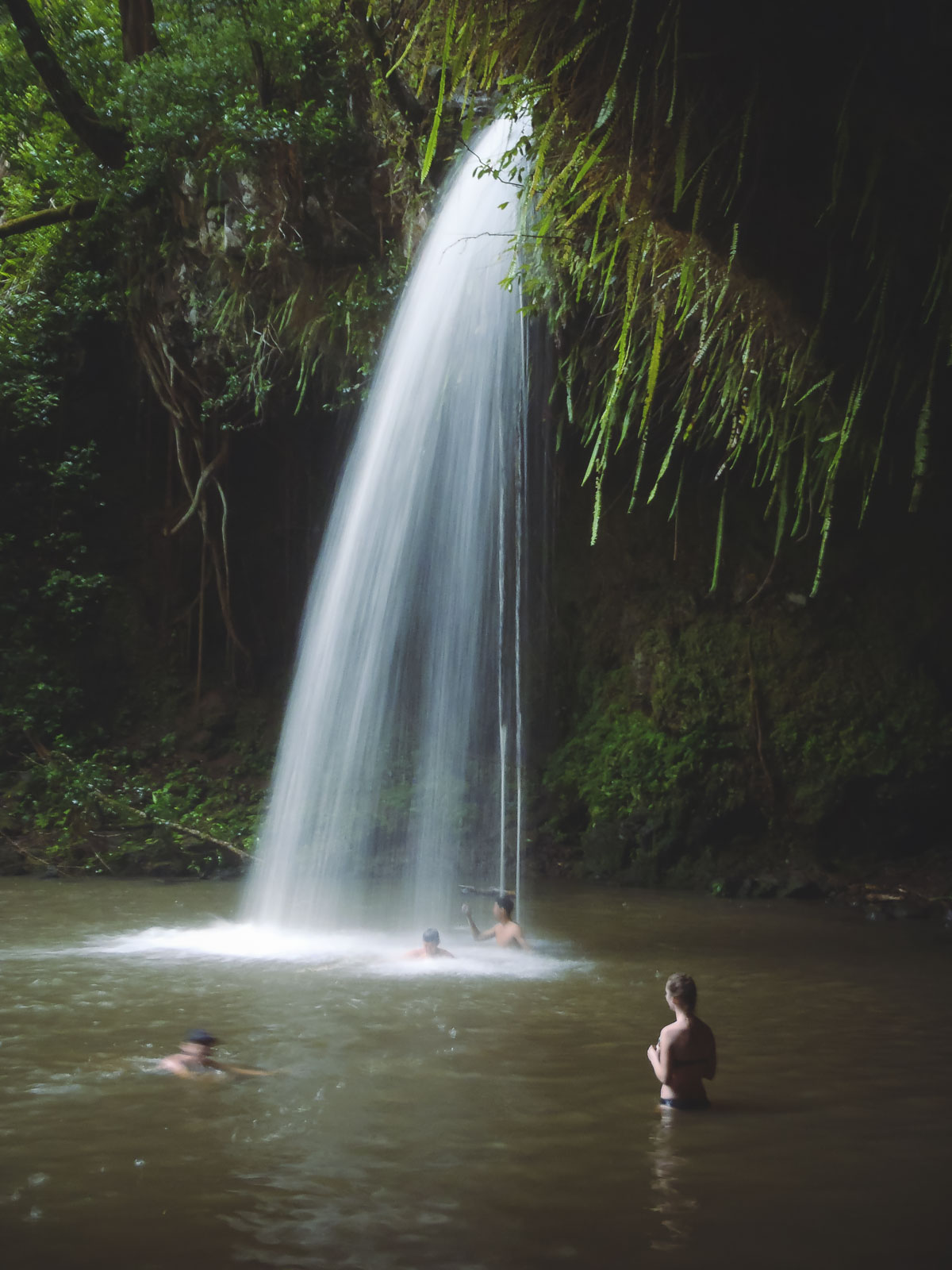 Top 12 Hikes in Maui to Take Your Breath Away | The Planet D