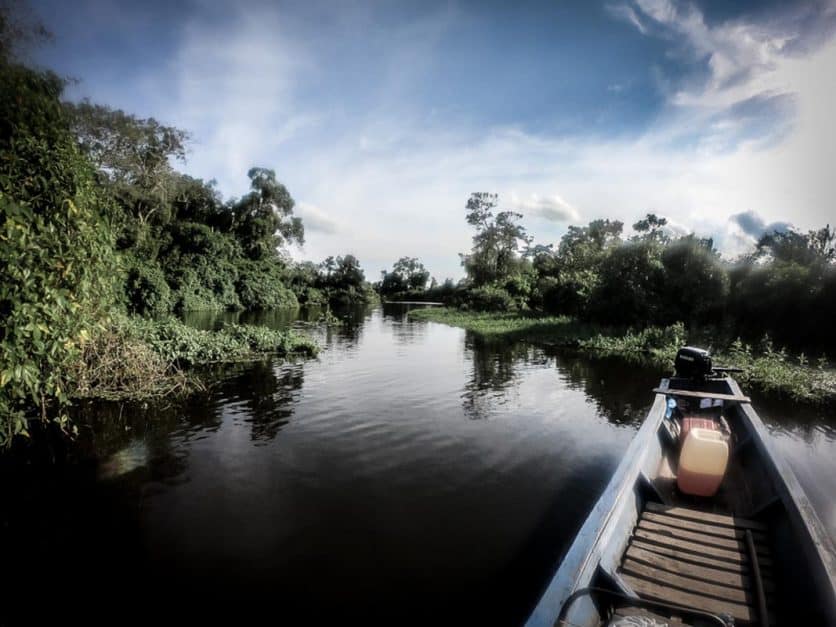 visiting the amazon from bolivia header image
