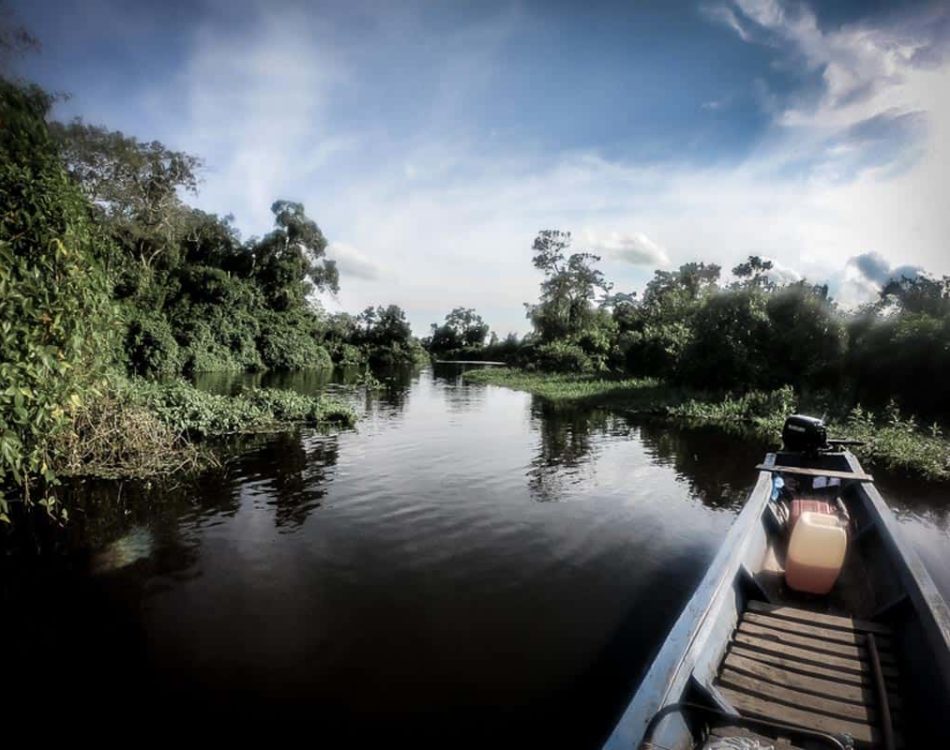Everything You Need to Know About Visiting the Bolivian Amazon