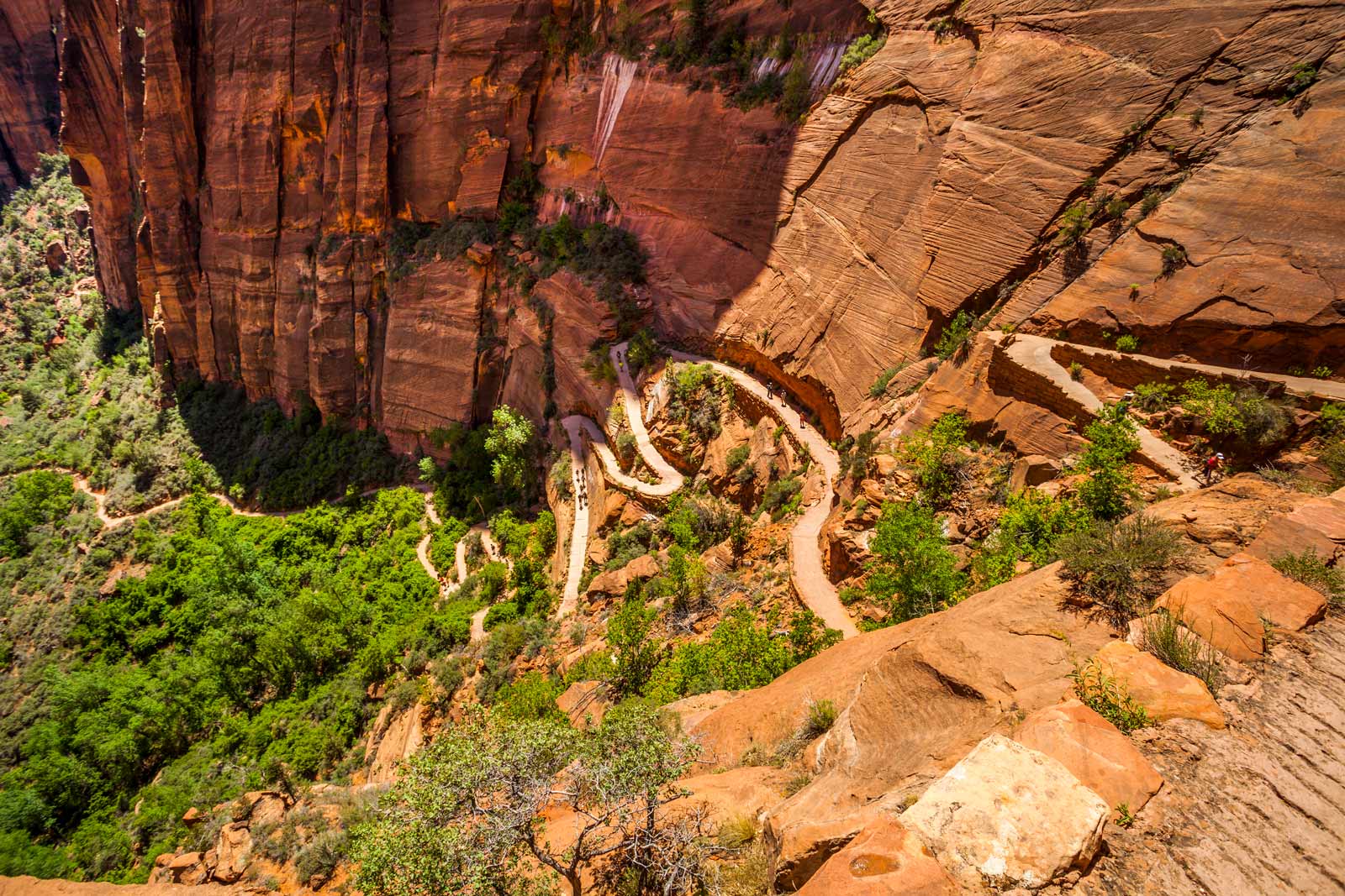 Angels Landing Trail Zion National Park 