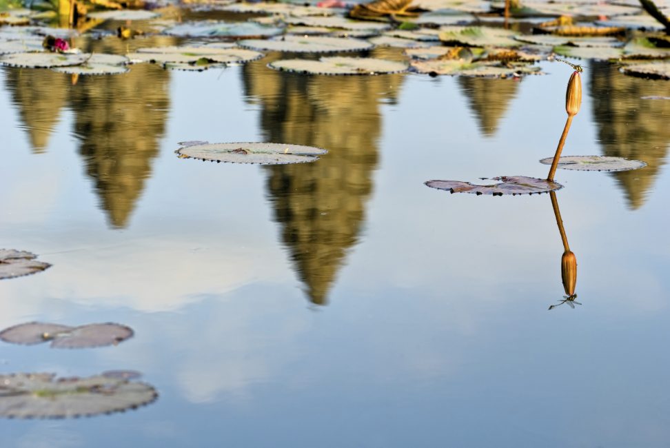 angkor wat reflecitons
