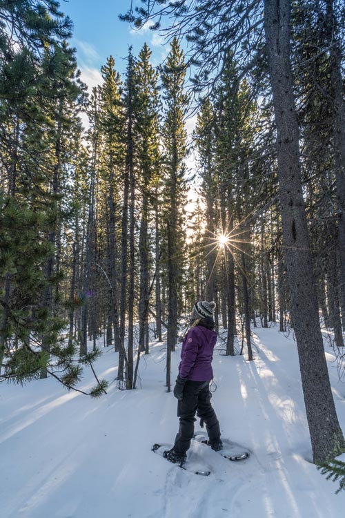 heli snowshoe tour banff alberta