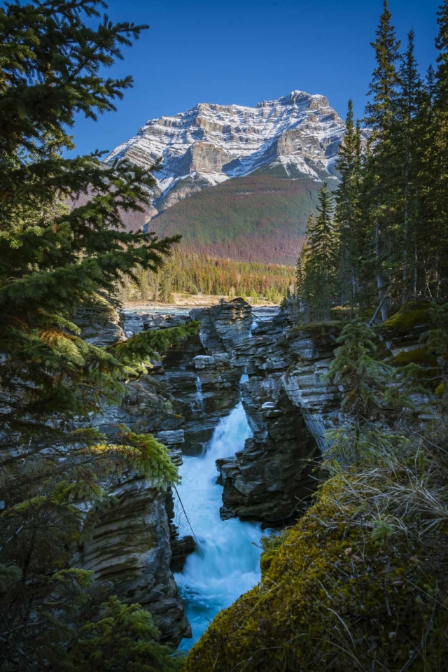 stops along the Icefields Parkway athabasca falls jasper