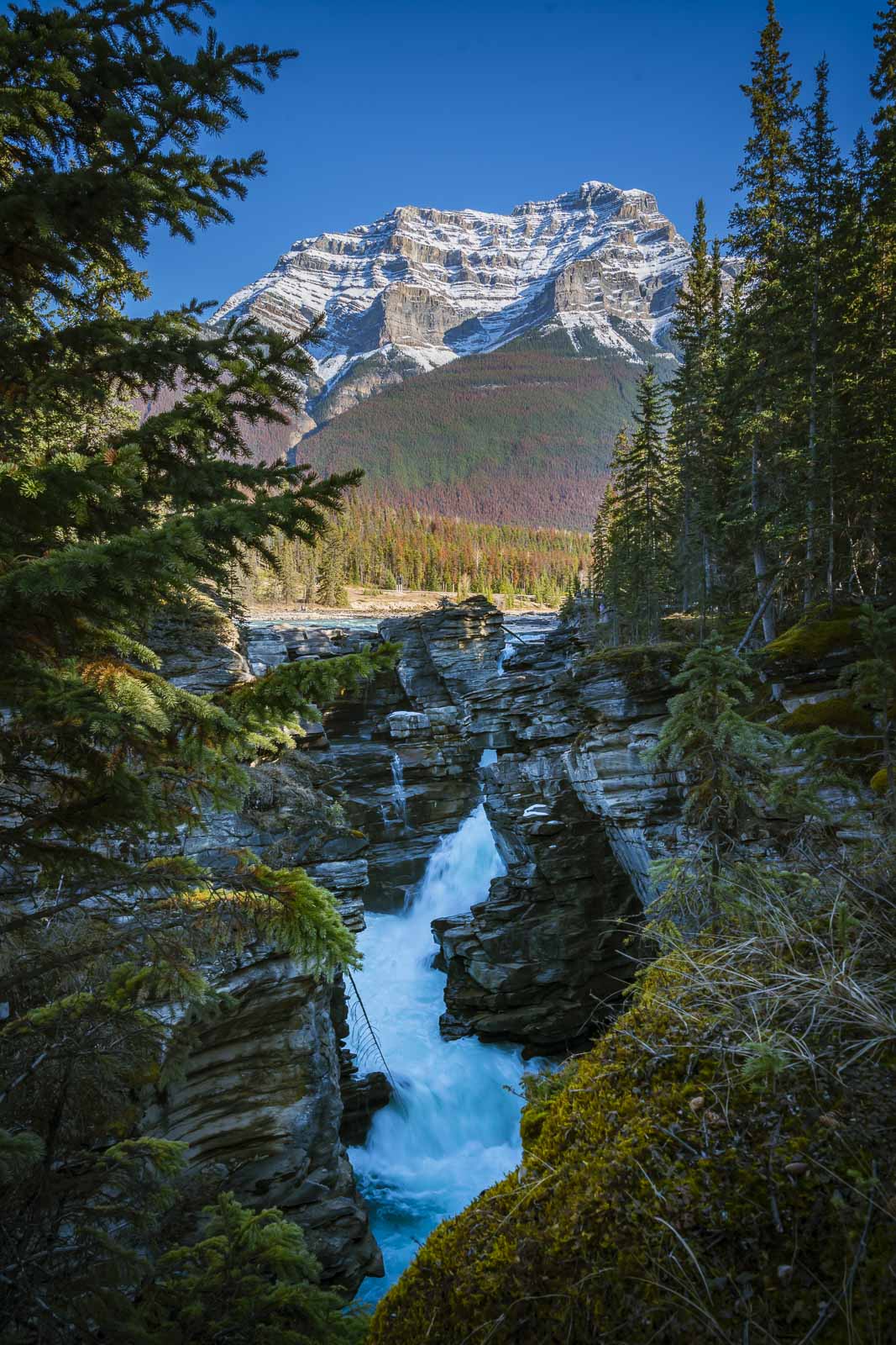 athabasca falls jasper