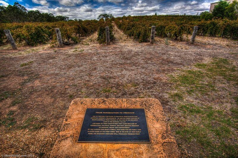 Barossa Valley, Australia - Possibly the Oldest Vines in the World