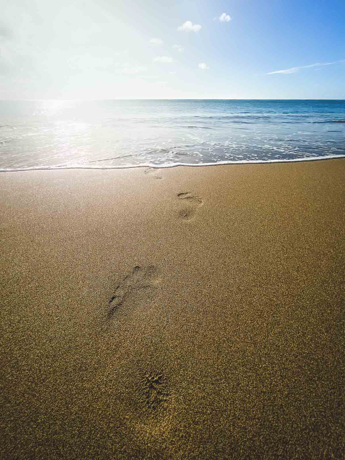 Beaches in Saint Lucia Balenbouche Beach