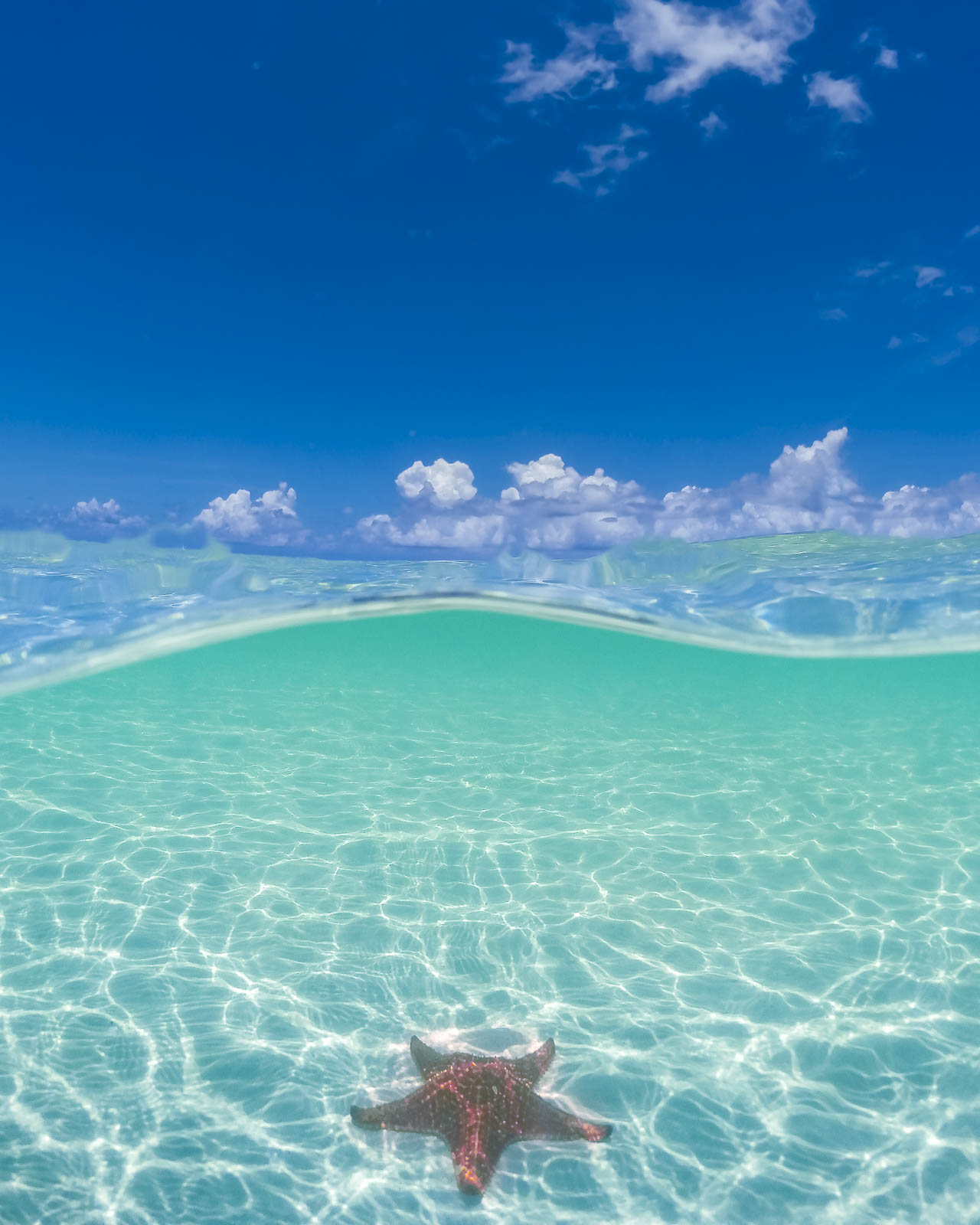 20 Beautiful Caribbean Islands to Add to the Bucket List | The Planet D