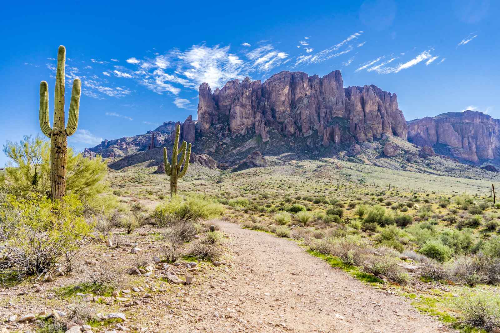 Best Arizona State Parks Lost Dutchman State Park