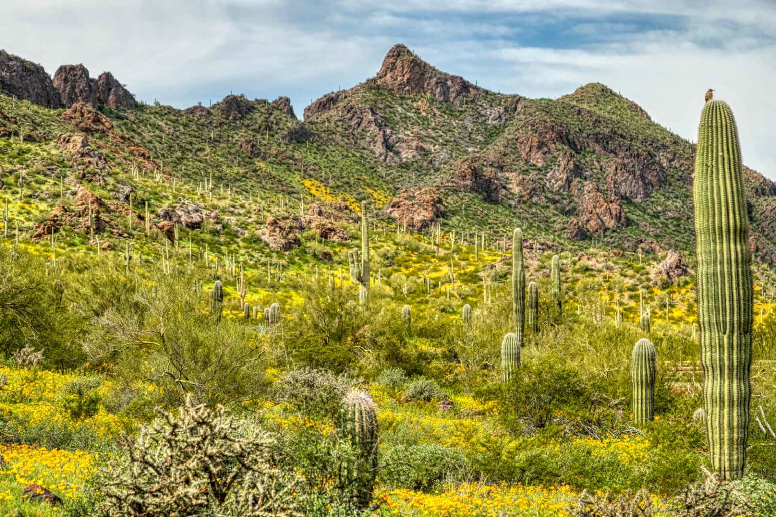 13 Best Arizona State Parks To Visit in 2024 - The Planet D
