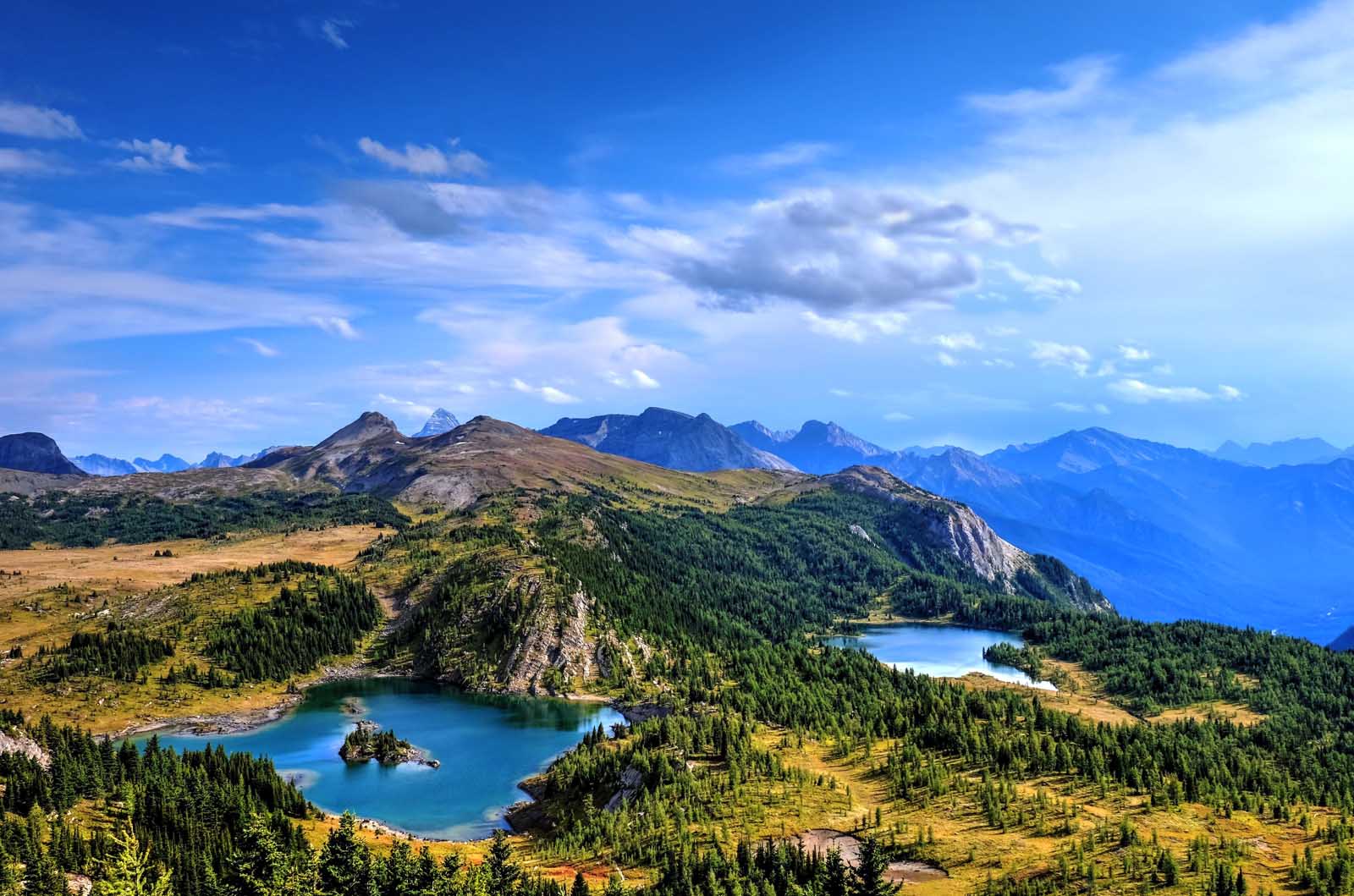 Best Hikes in Banff National Park - Bourgeau Lake trail