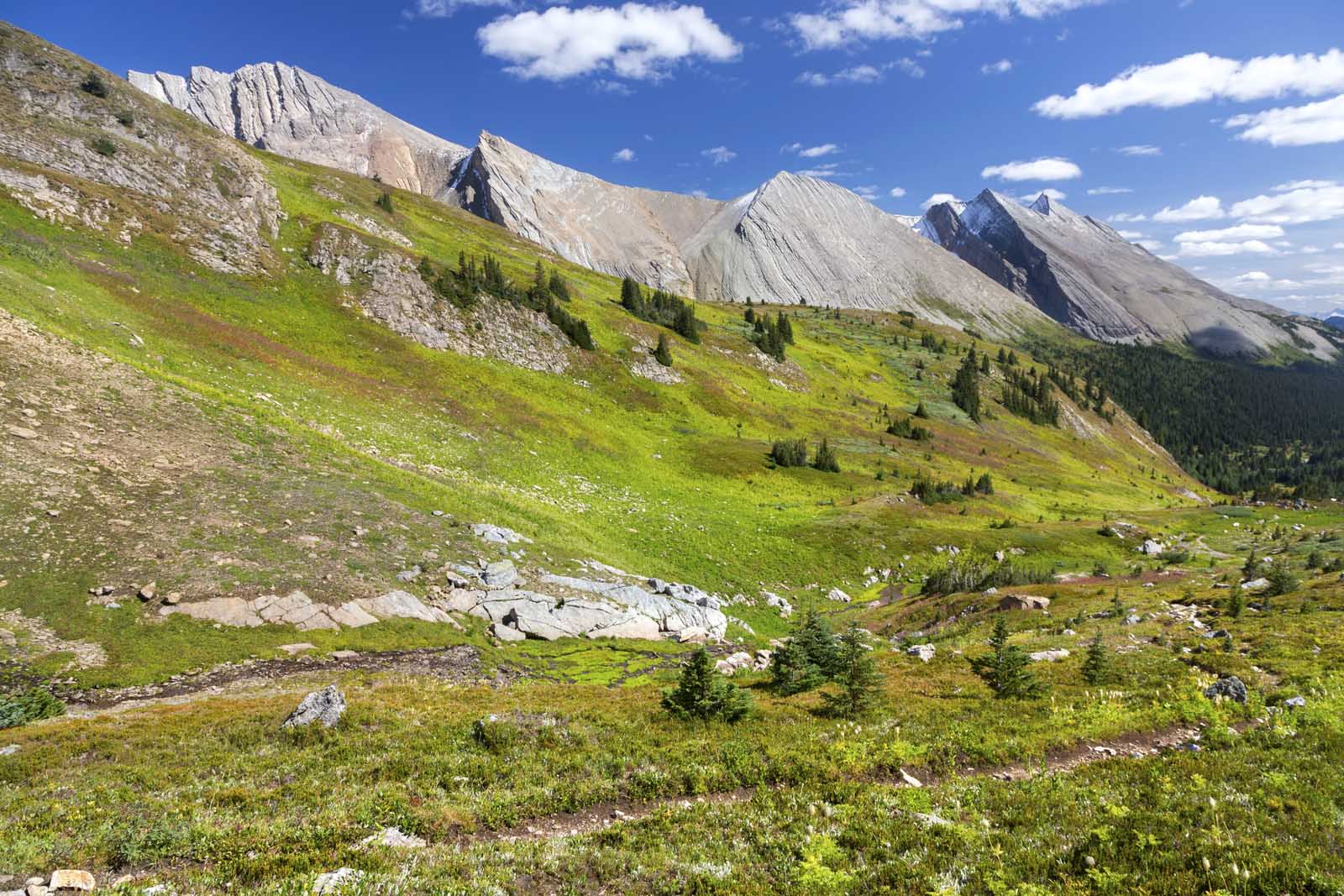 Hikes in Banff National Park Sawback