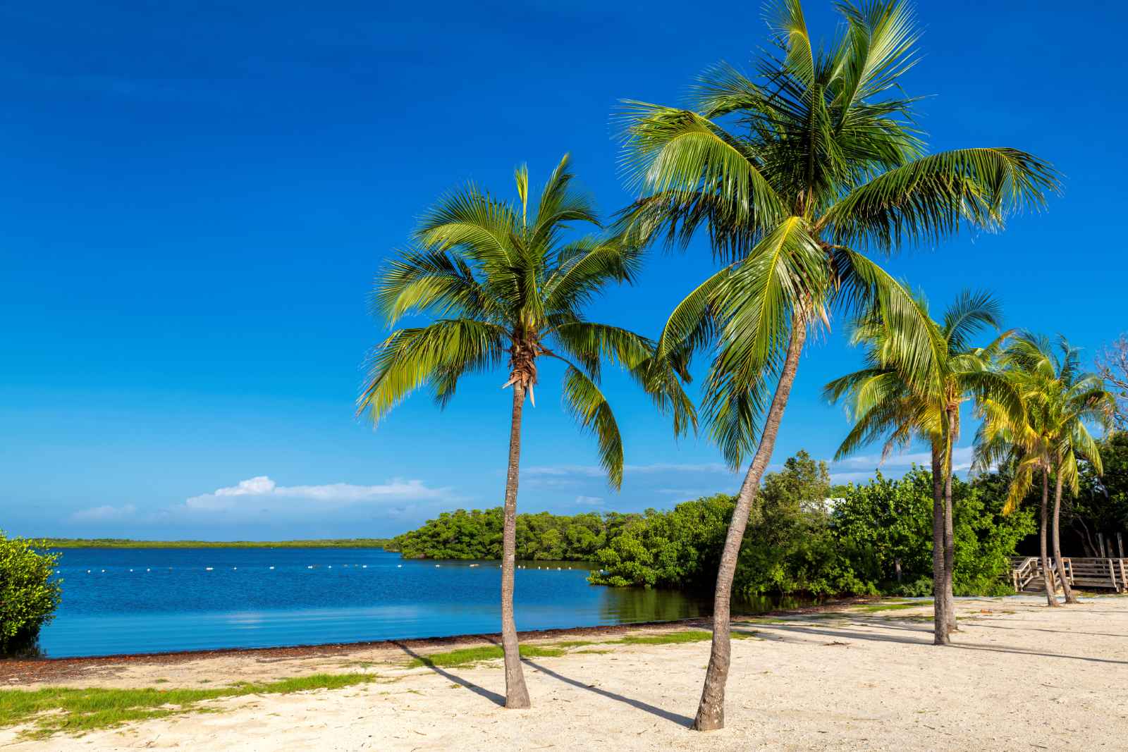 Best Beaches in Key Largo Far Beach