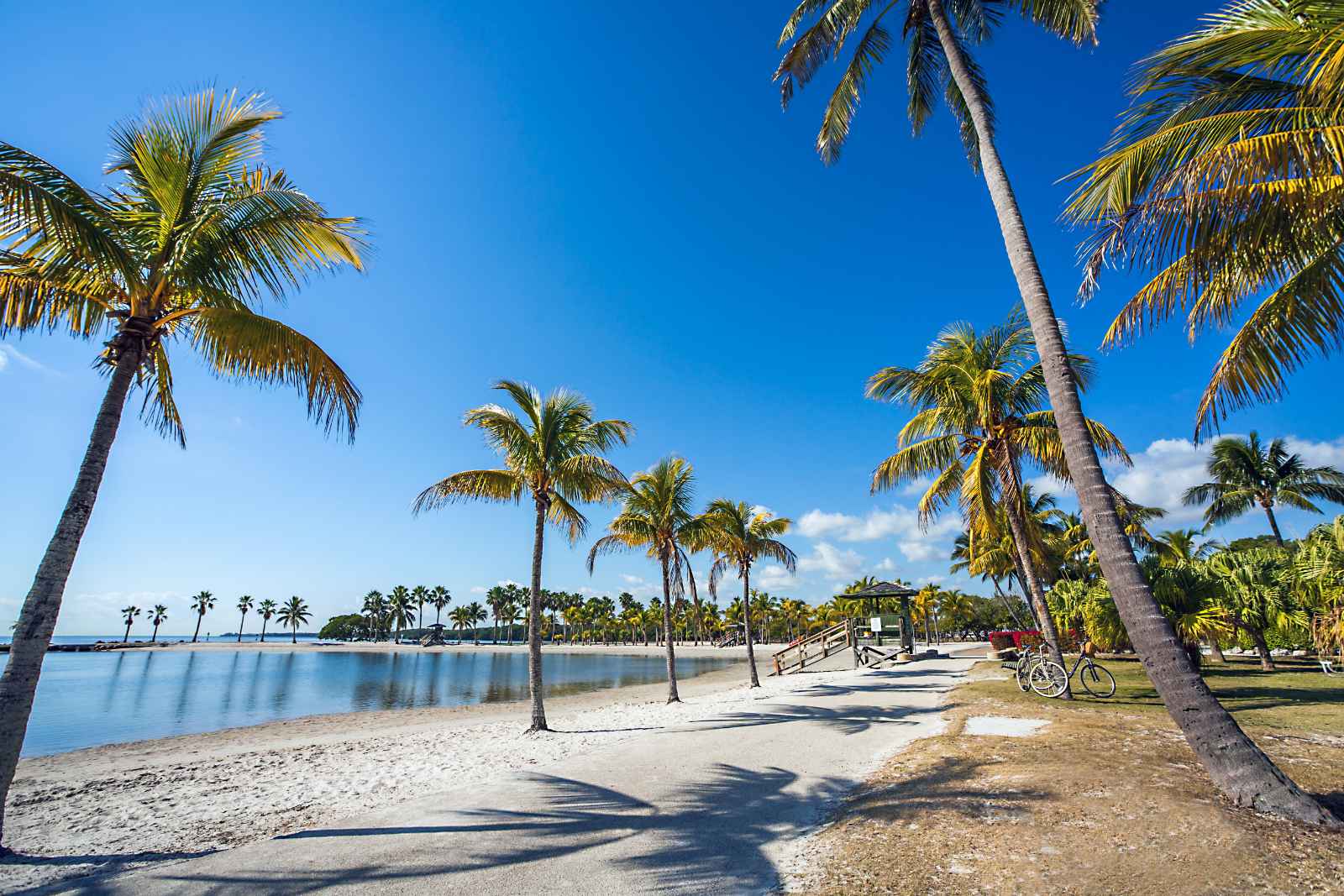 Best Beaches in Miami Matheson Hammock Park