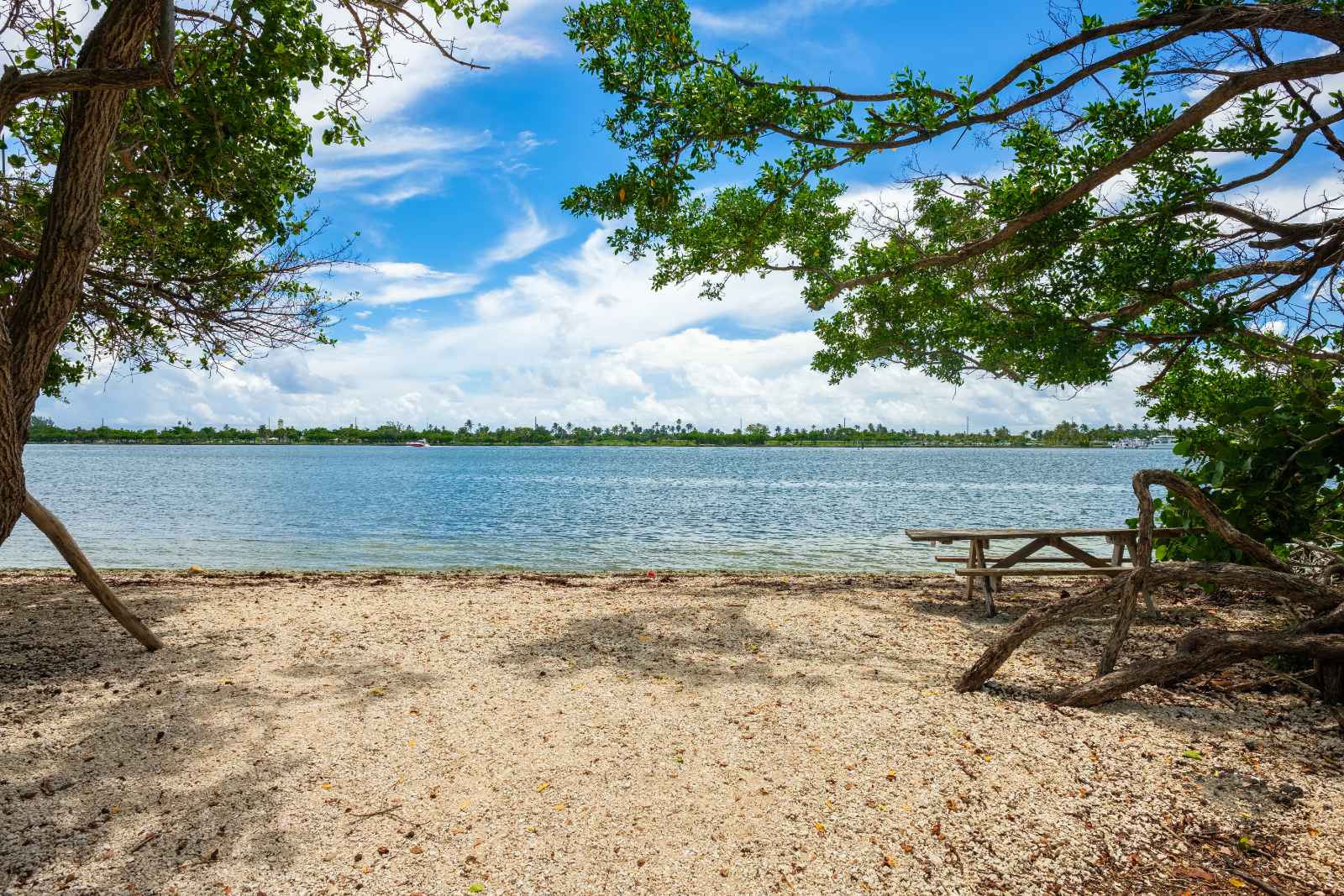 Best Beaches in Miami Sandy Beach at Oleta River State Park
