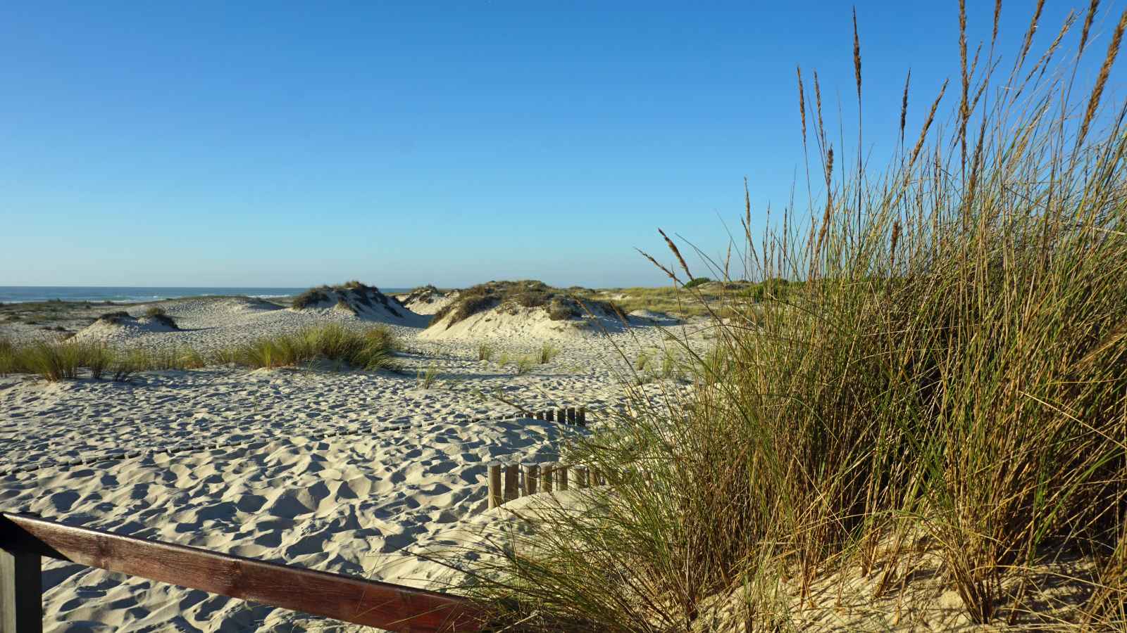 Best Beaches in Portugal Praia de Sao Jacinto