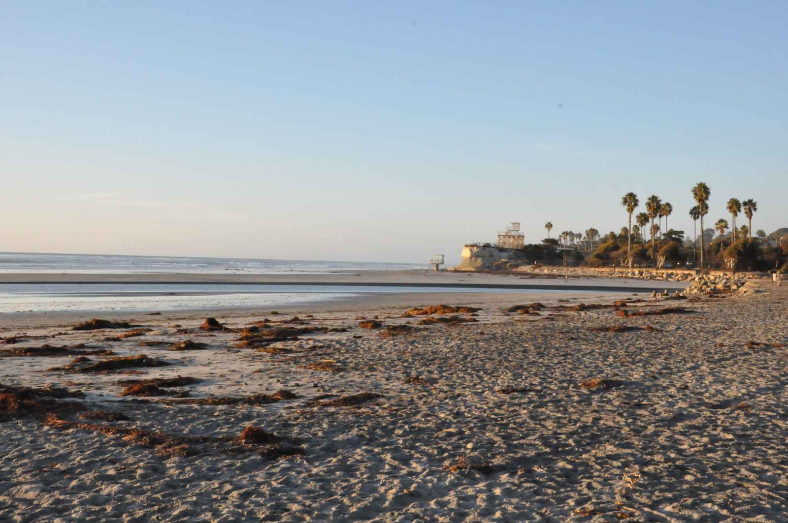 Best Beaches in San Diego Cardiff state Beach