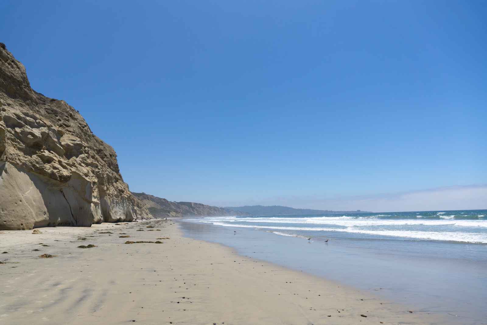 Best Beaches in San Diego Torrey Pines State Beach