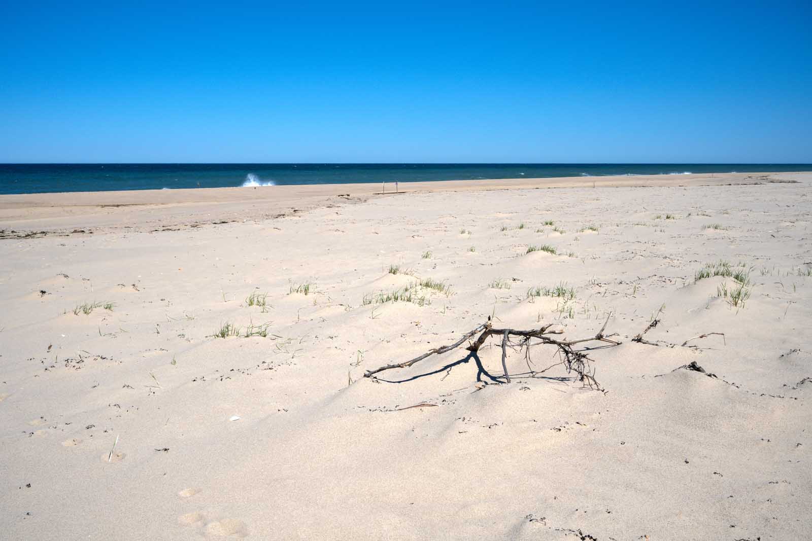 Best Beaches in the USA Coast Guard Beach