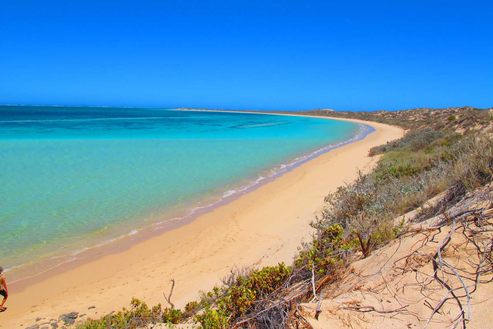 Best Beaches in the World Skeleton Beach Western Australia