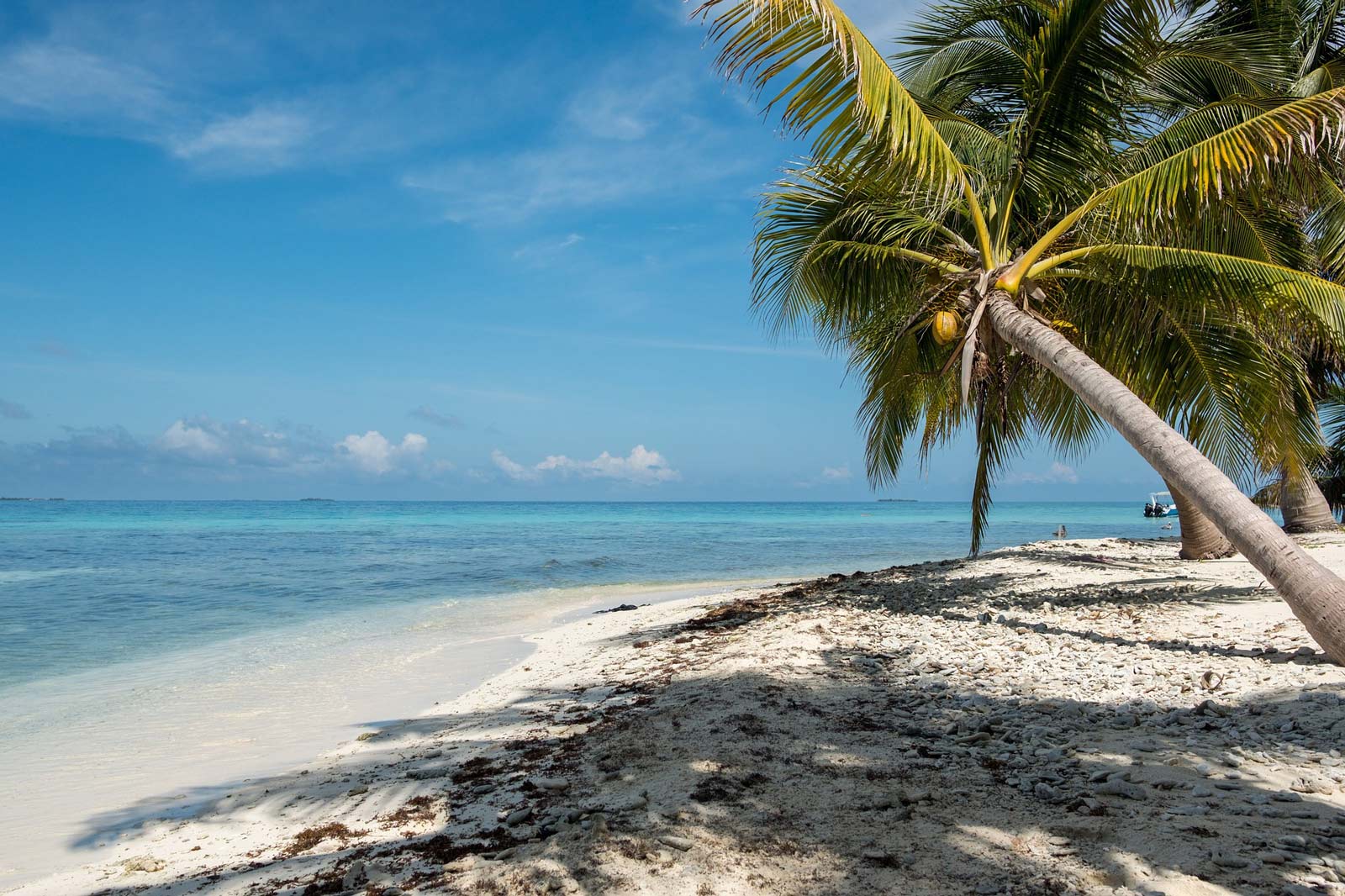best islands in the caribbean Cay Caulker in Belize