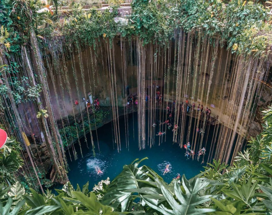 12 Best Cenotes In Mexico To Visit in 2024