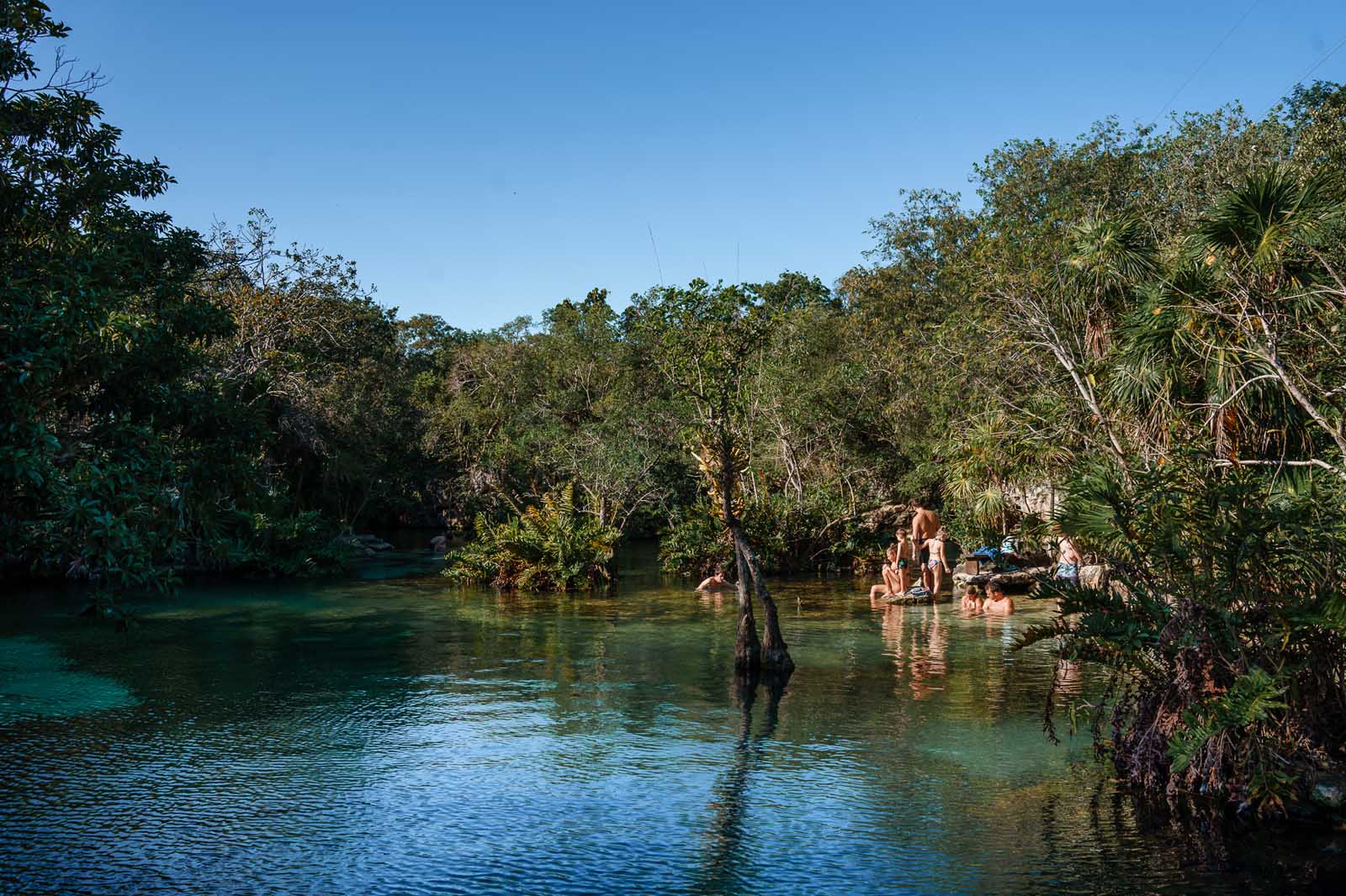 Best Cenotes in Mexico Cenote Azul