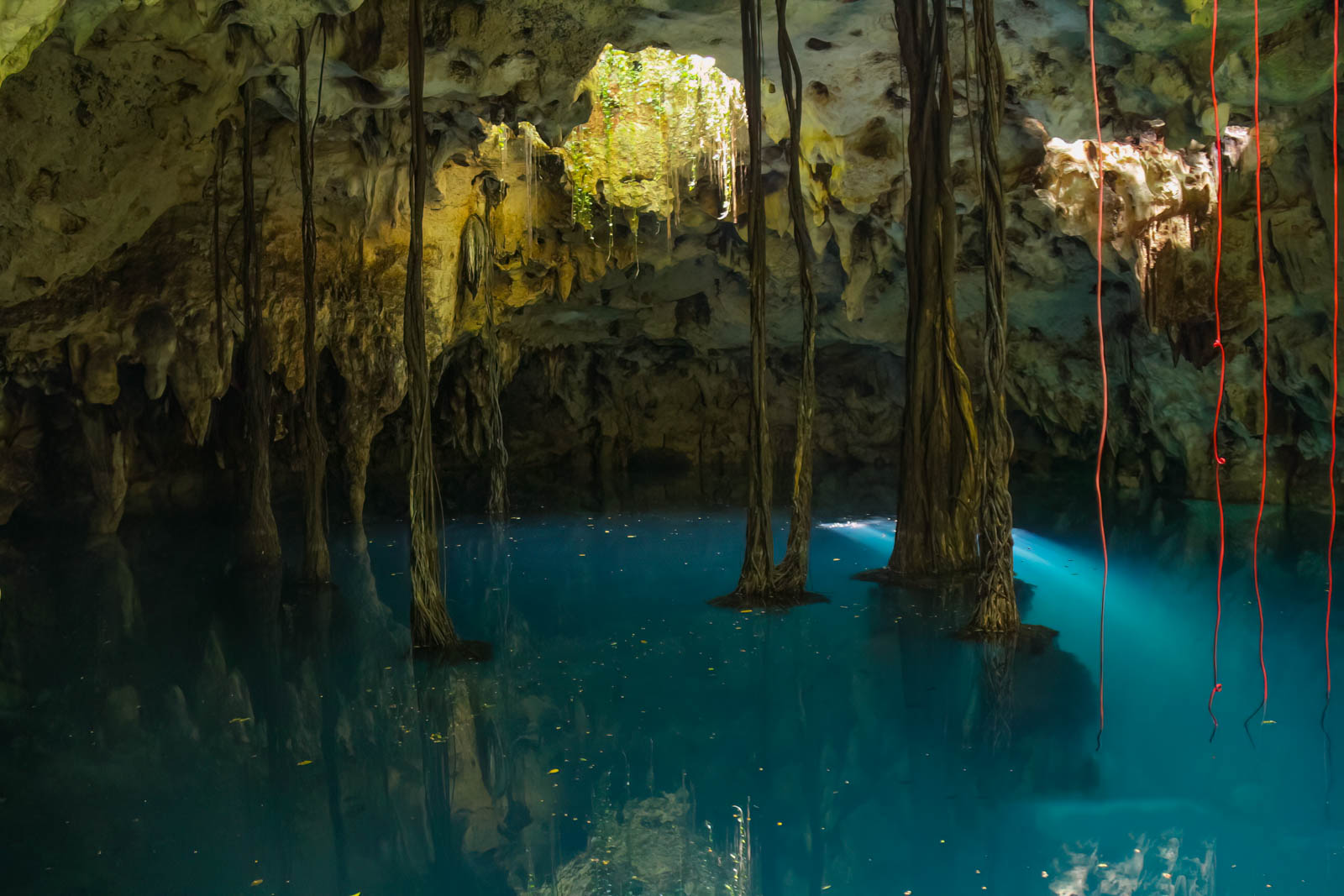 Best Cenotes in Mexico What Are They