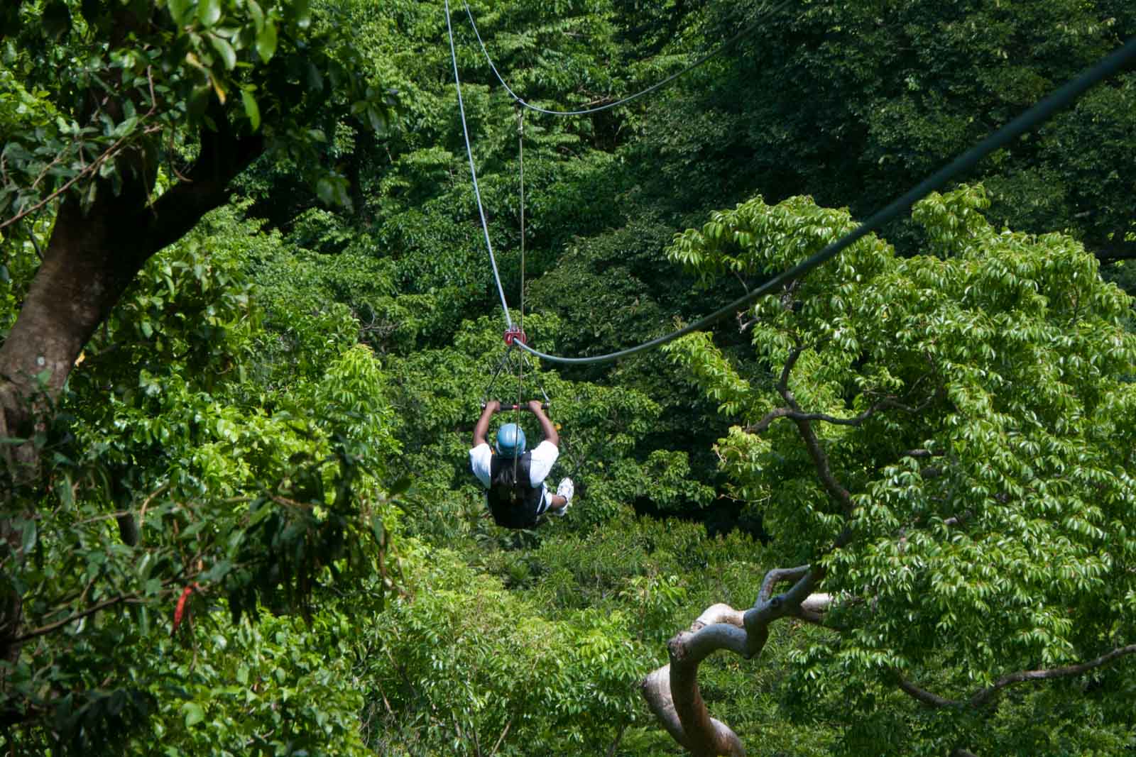Best Things to do in Punta Cana Canopy Adventures