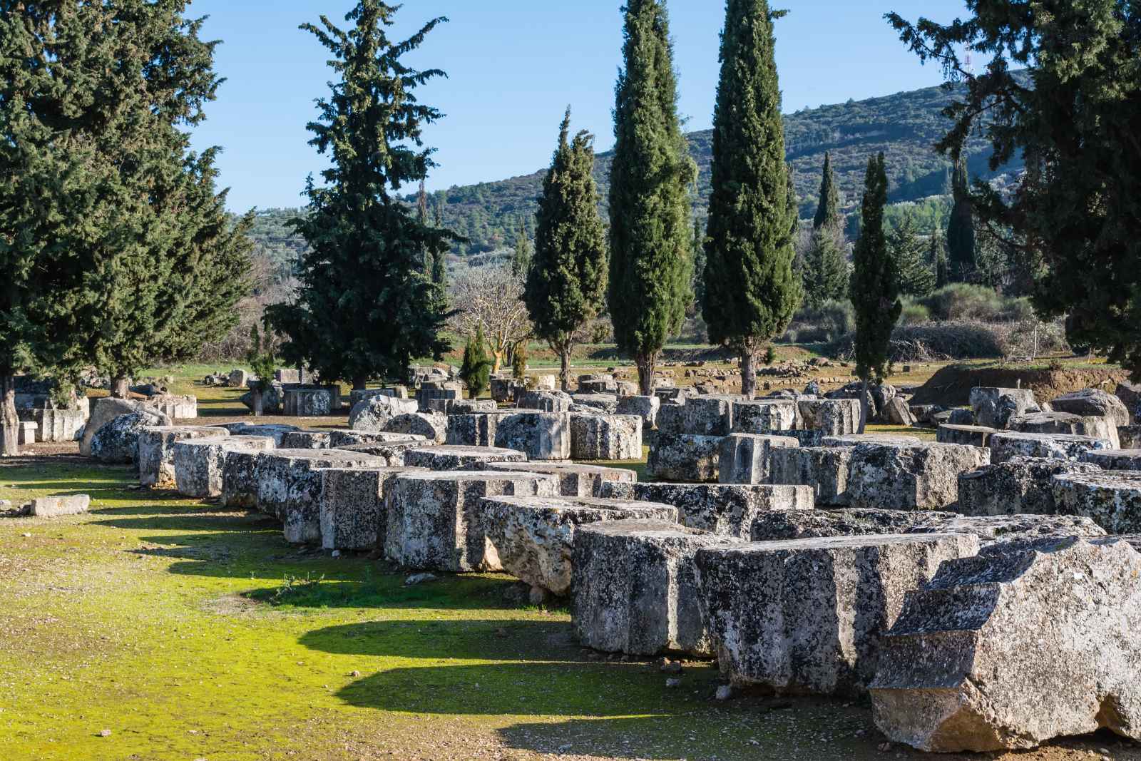 Best Day Trips From Athens Nemea