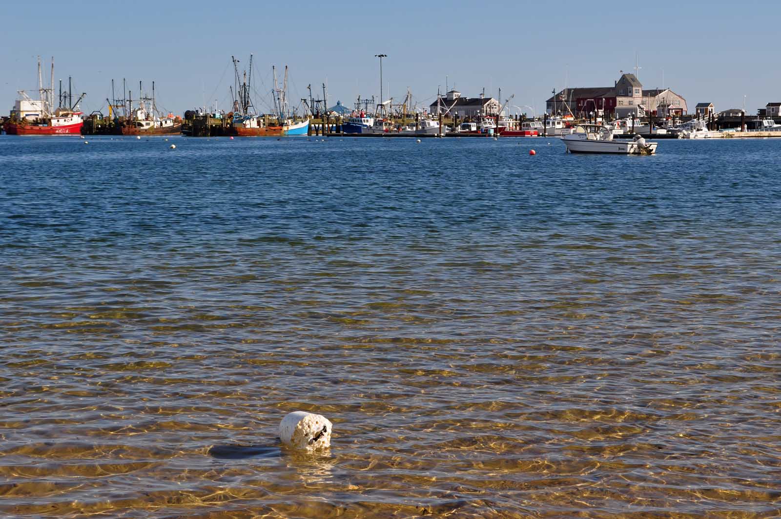 Best Day Trips from Boston Provincetown