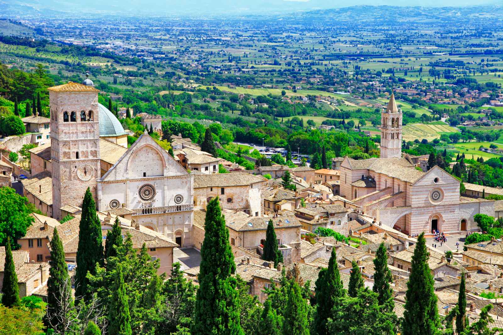 Best Day Trips From Florence Assisi
