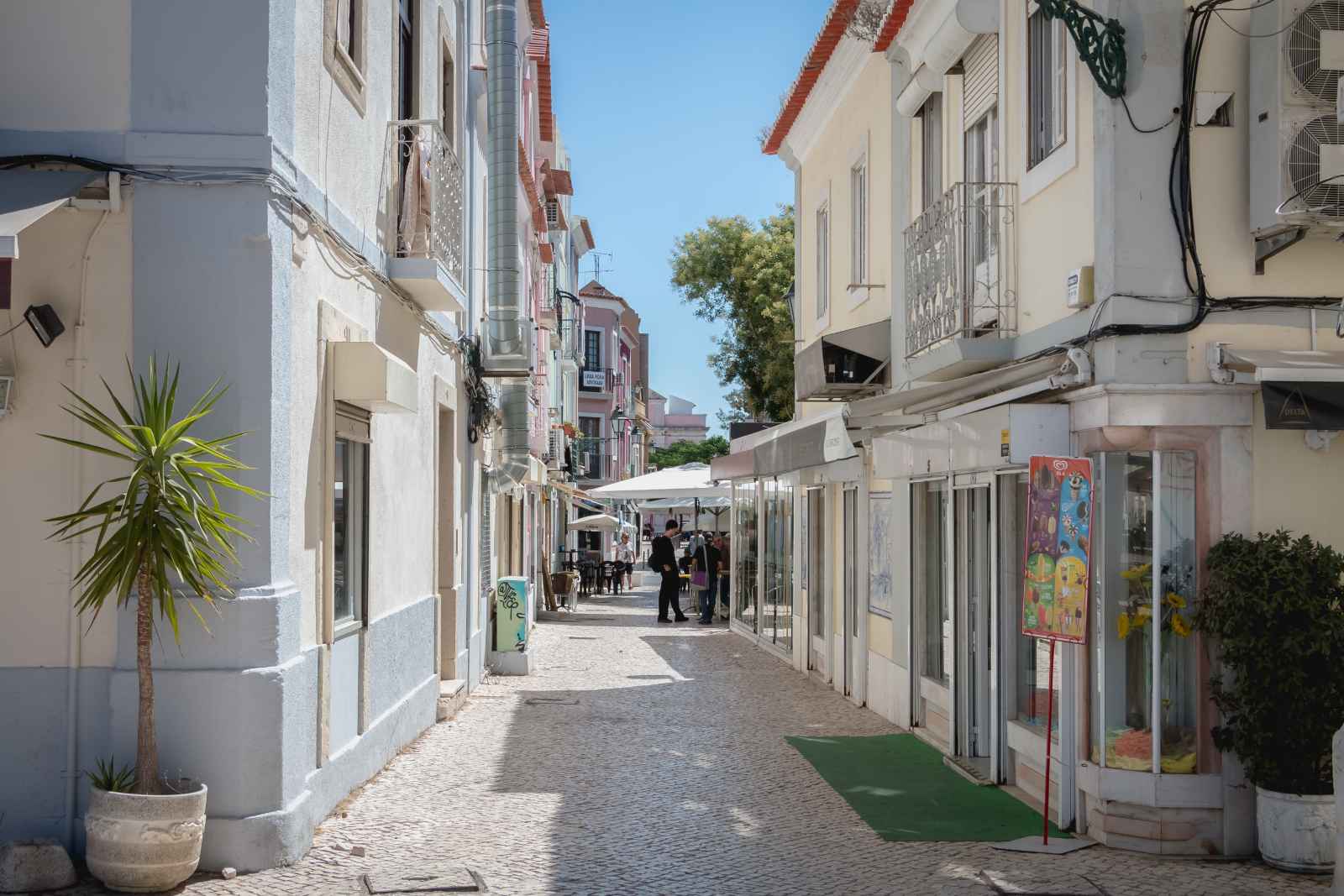 Best Day Trips From Lisbon Setubal