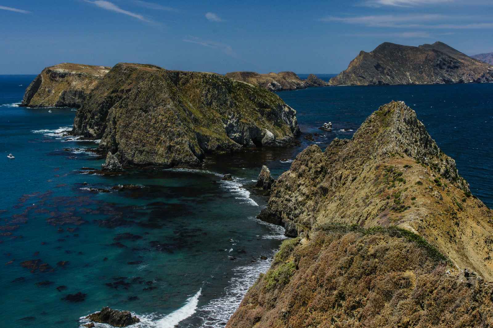 Best Day Trips From Los Angeles Channel Islands National Park