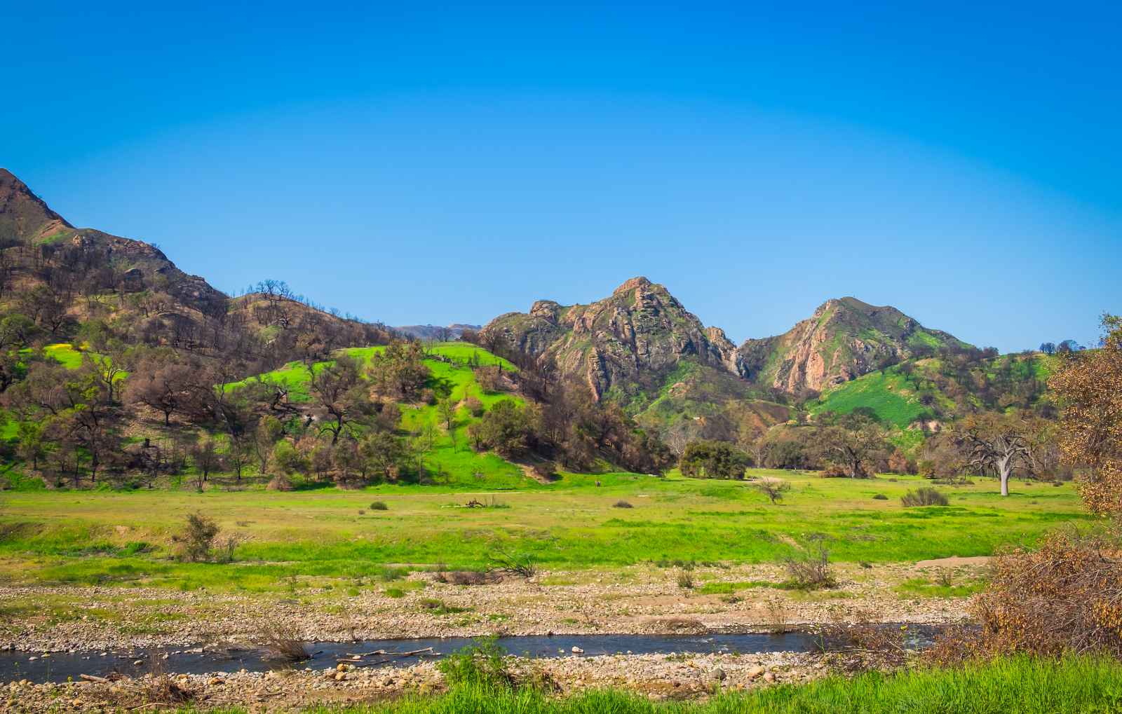 Best Day Trips From Los Angeles Malibu Creek State Park