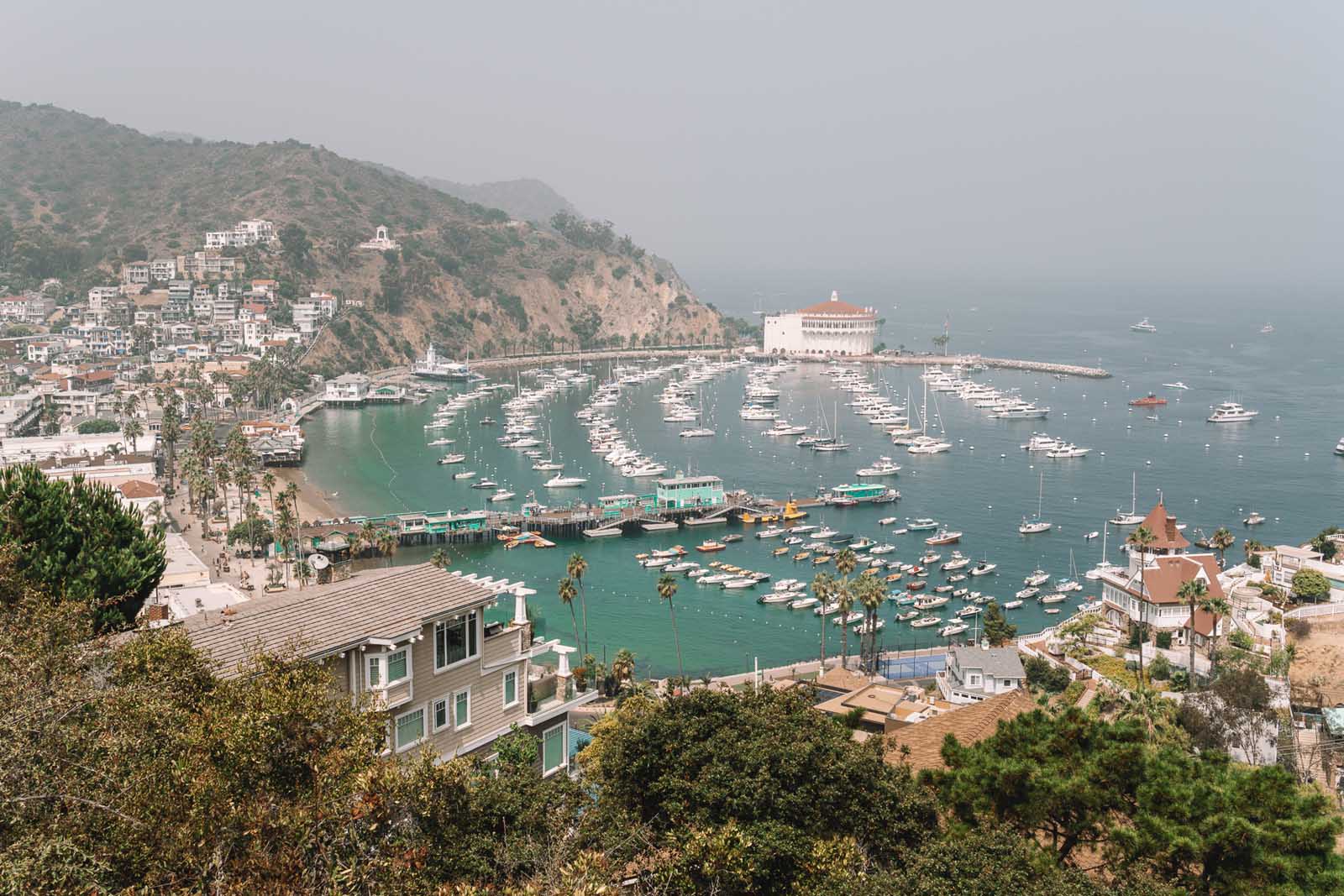 Best Day Trips From Los Angeles Santa Catalina Island
