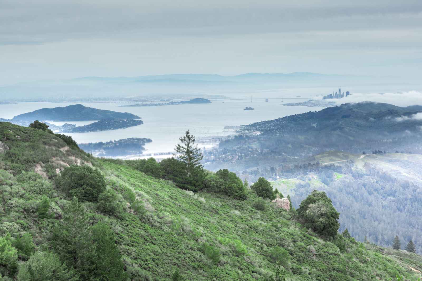 Best Day Trips From San Francisco Mount Tamalpais