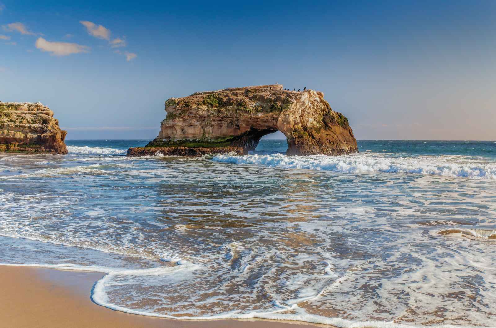 Best Day Trips From San Francisco Natural Bridges State Beach