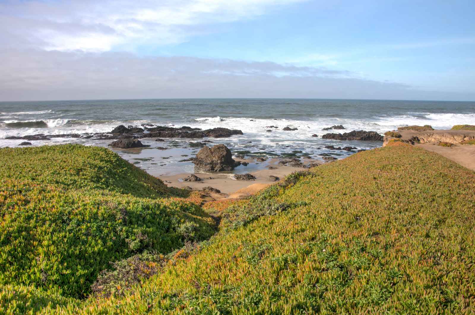 Best Day Trips From San Francisco Pescadero State Beach