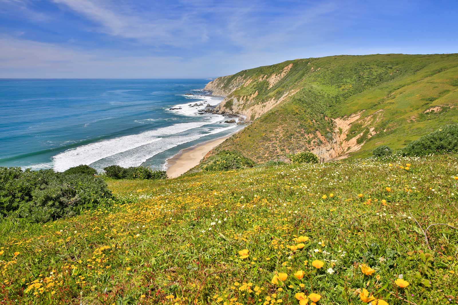 Day Trips From San Francisco Point Reyes National Seashore