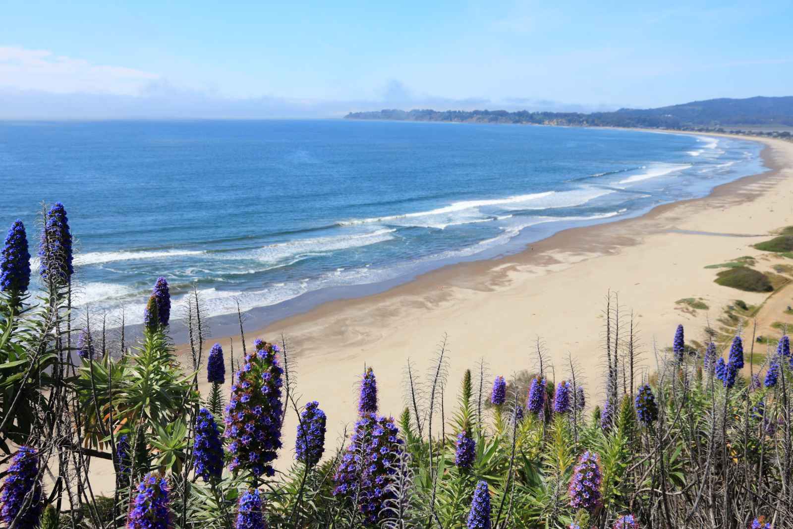 Best Day Trips From San Francisco Stinson Beach