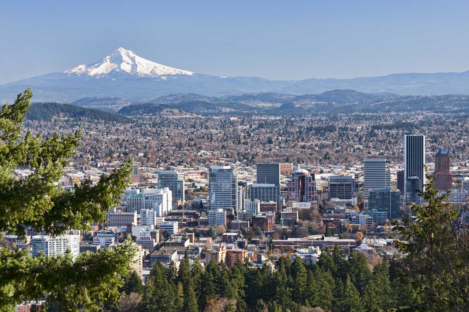 Best Day Trips From Seattle Portland