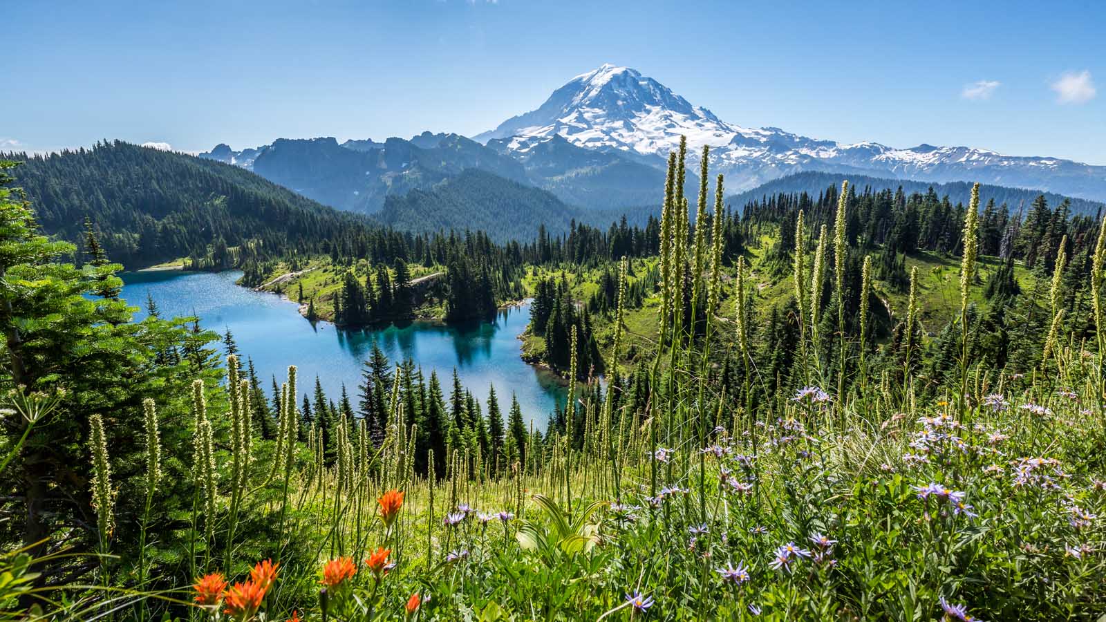 Fun Day Trips From Seattle Mount Rainier National Park