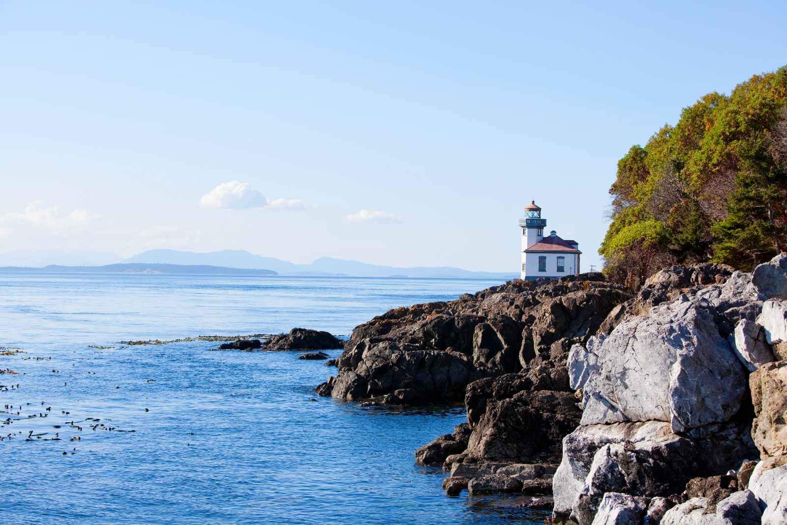 Best Day Trips From Seattle San Juan Island