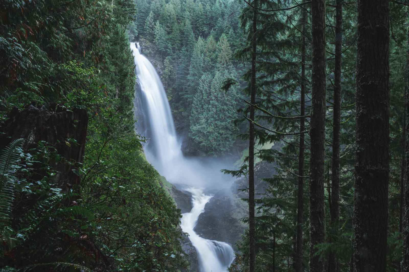 Best Day Trips From Seattle Wallace Falls State Park