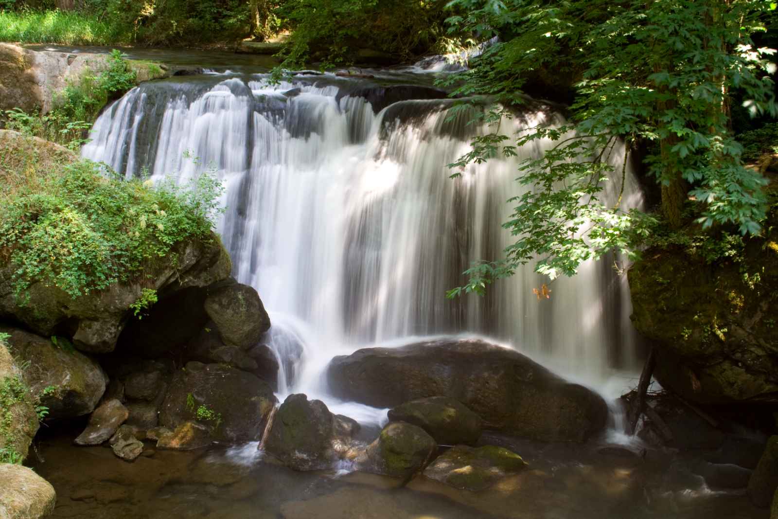 Best Day Trips From Seattle Whatcom Falls Park