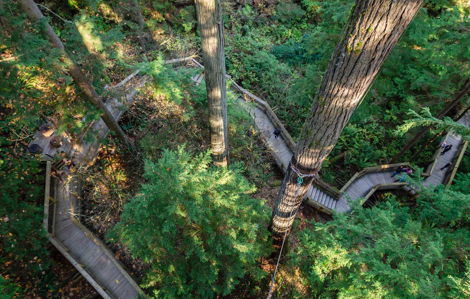 Best Day Trips from Seattle Vancouver Capilano Suspension Bridge