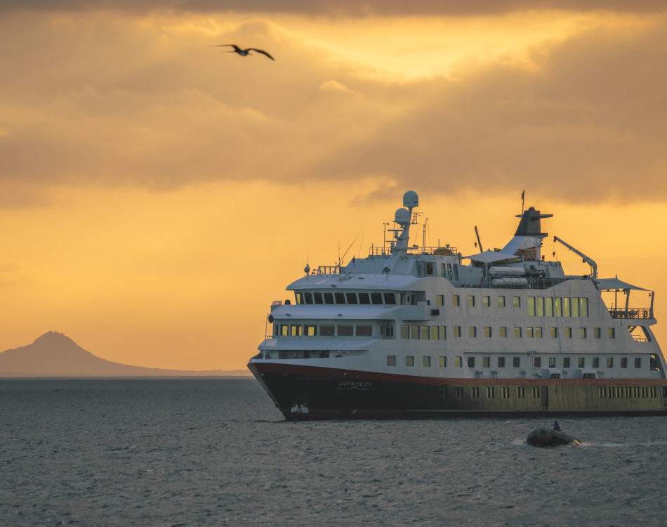 Expedition Cruises – Complete Guide to Cruising Remote Destinations