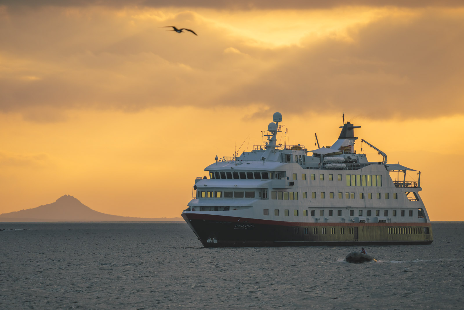 Best Expedition Cruises