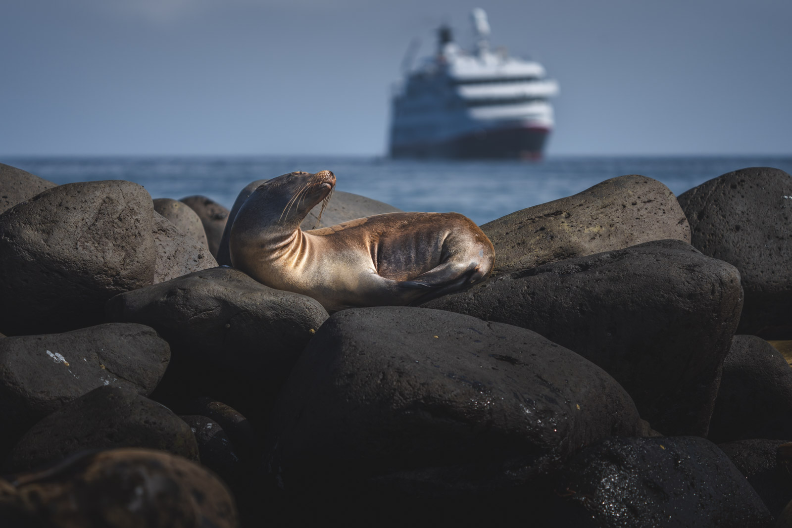 Best Galapagos Cruises HX Hurtigruten Expeditions