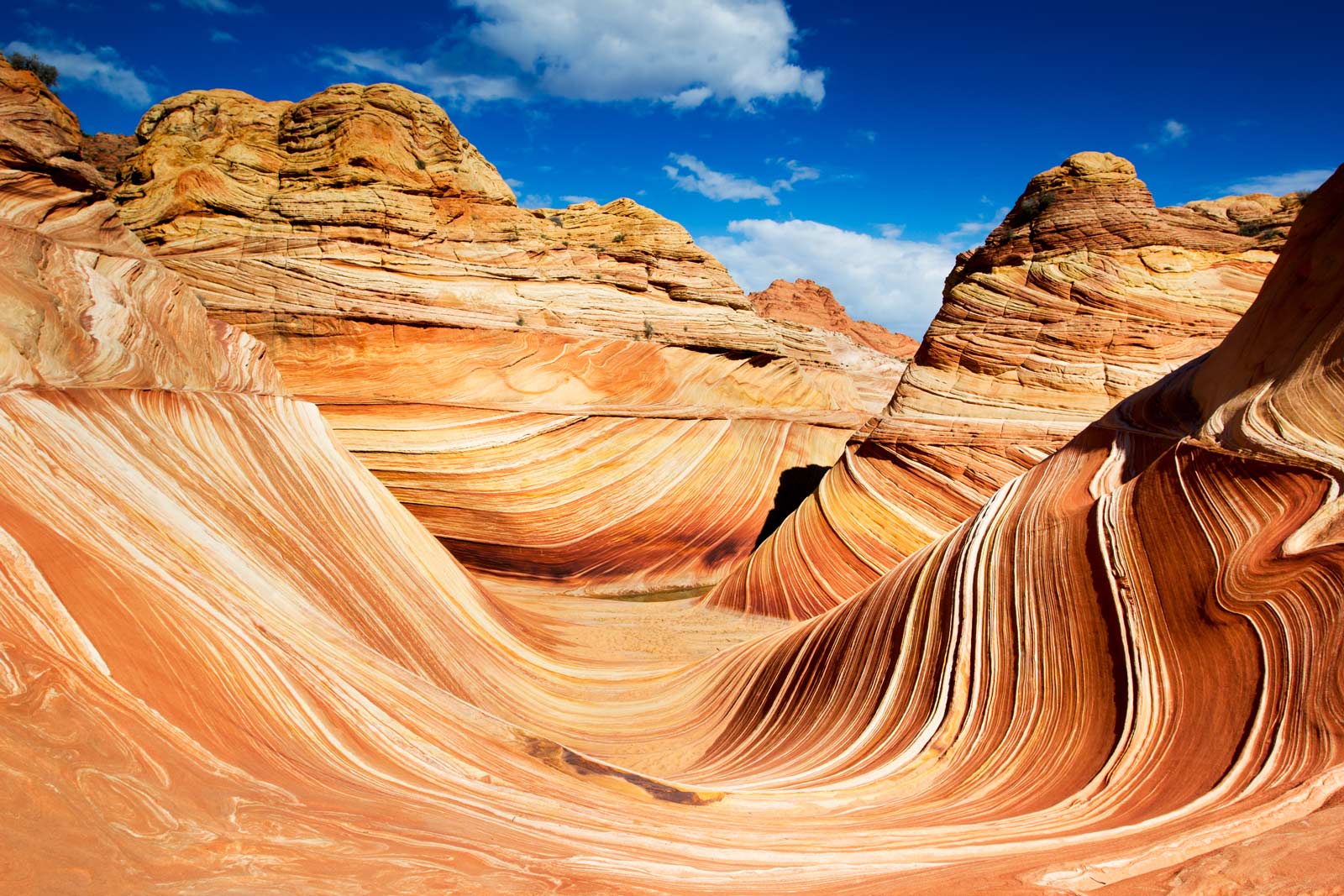 The Wave hike in Coyote Butte Arizona